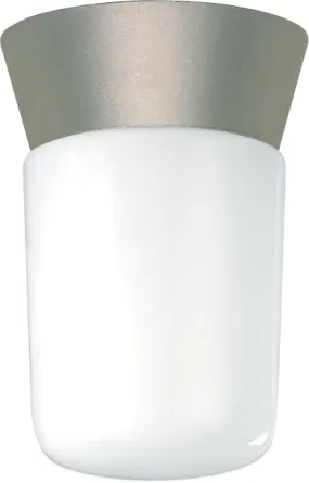 Nuvo 1-Light 8" Outdoor Ceiling Light w/ White Glass Cylinder in Satin Aluminum