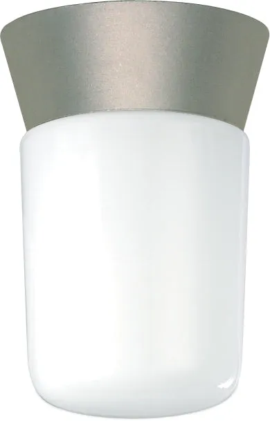 Nuvo 1-Light 8" Outdoor Ceiling Light w/ White Glass Cylinder in Satin Aluminum